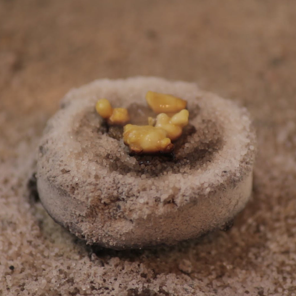 Anna's Incense Frank n Myrrh